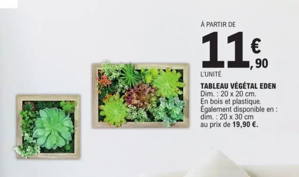 TABLEAU VÉGÉTAL EDEN