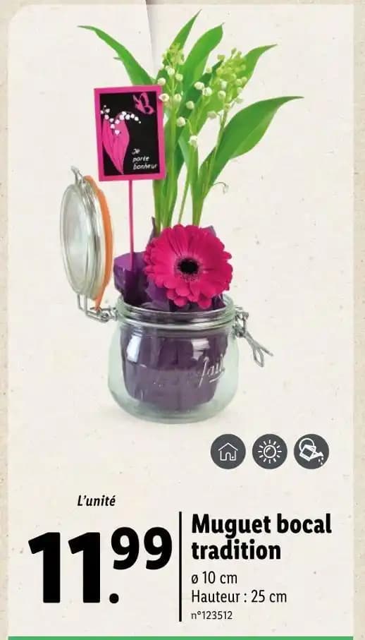 Muguet bocal