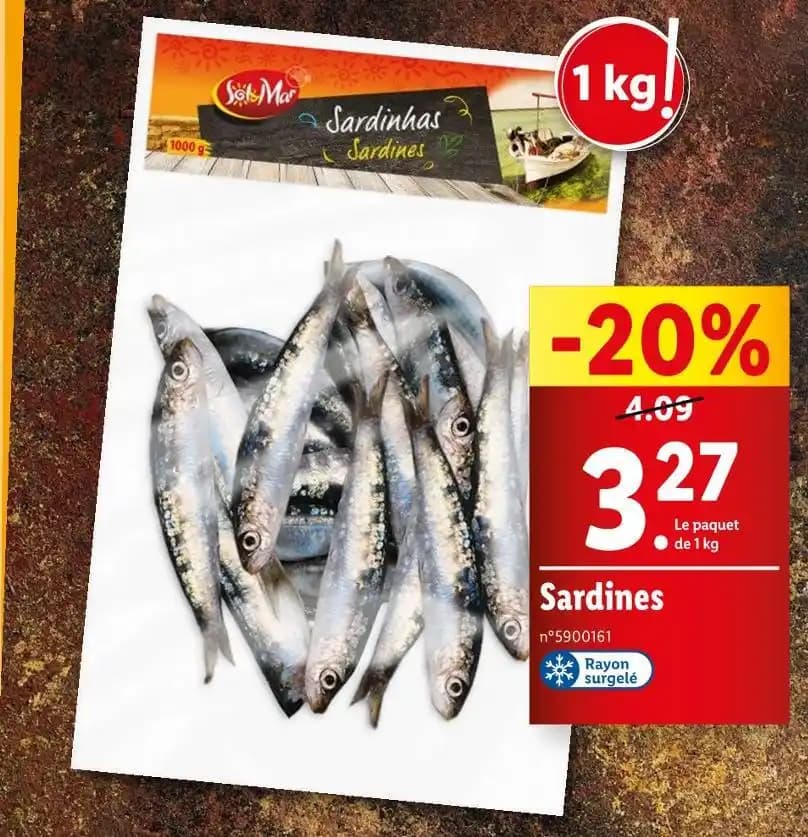 Sardines