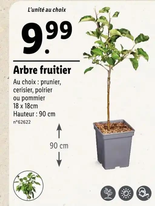 Arbre fruitier