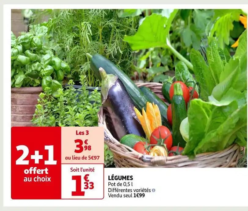 LÉGUMES