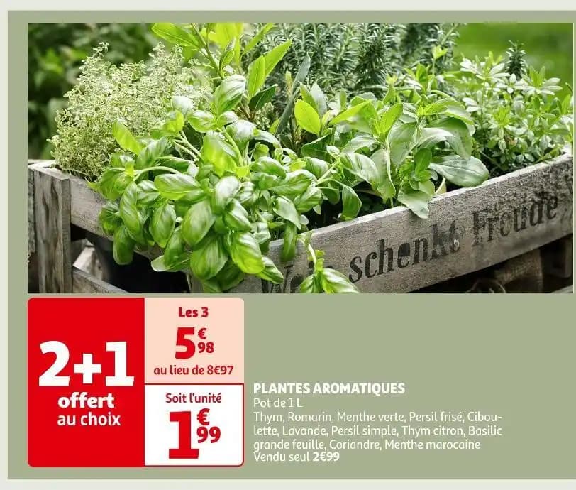 PLANTES AROMATIQUES