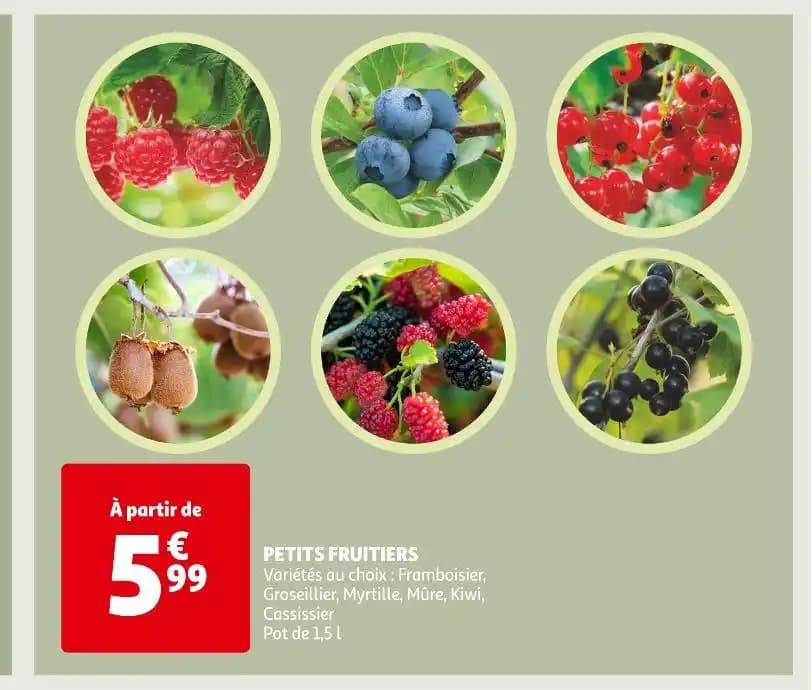PETITS FRUITIERS