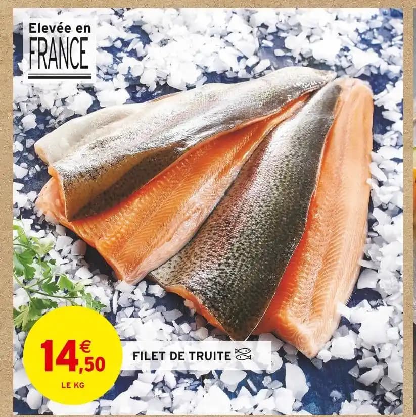 FILET DE TRUITE