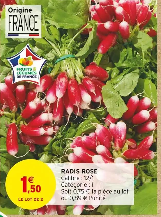 RADIS ROSE