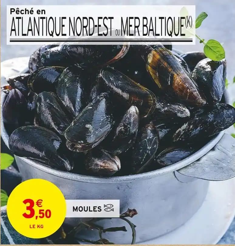 MOULES