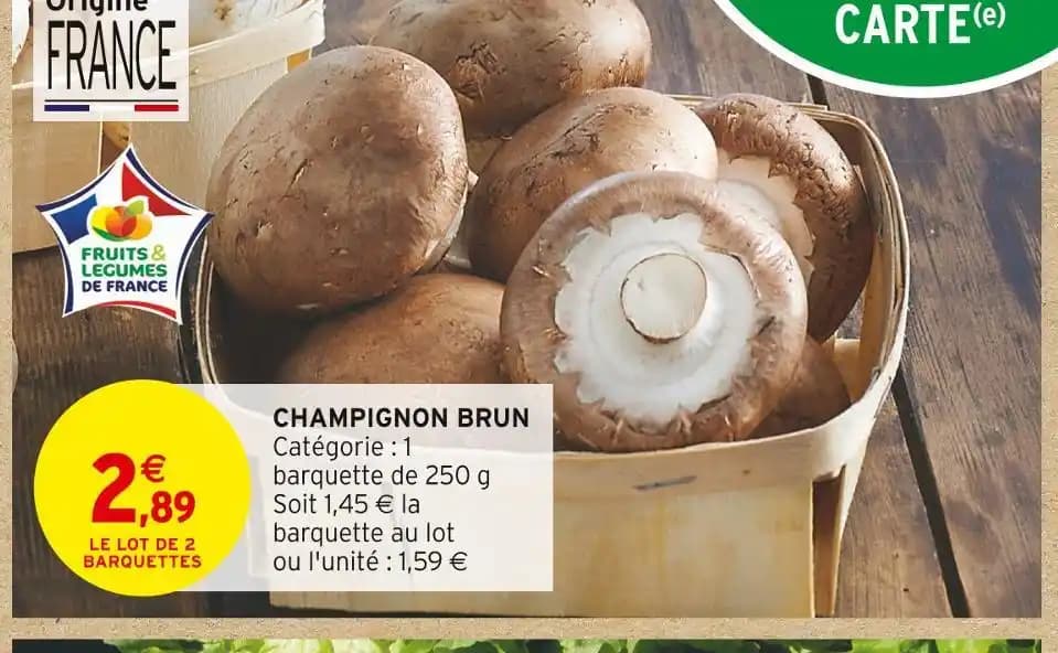 CHAMPIGNON BRUN