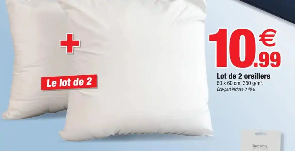 Lot de 2 oreillers