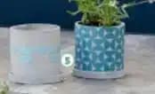 Pot déco avec soucoupe