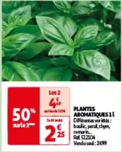Plantes aromatiques