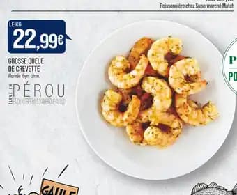 GROSSE QUEUE DE CREVETTE