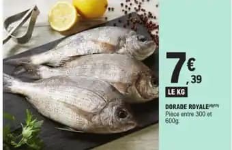 DORADE ROYALE (4X(11)
