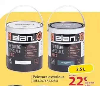 Elan - peinture extérieur