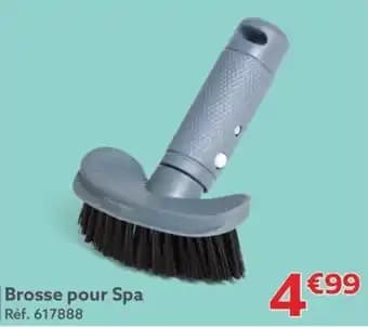 Brosse pour Spa