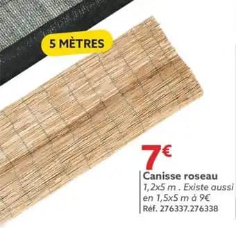 Canisse roseau