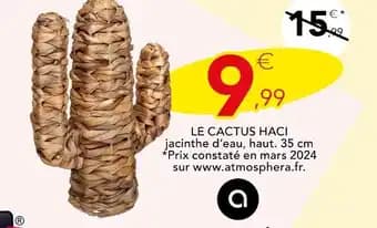 LE CACTUS HACI