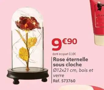 Rose éternelle sous cloche