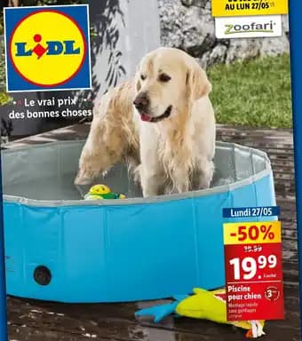 Piscine pour chien
