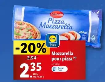 Mozzarella pour pizza (4)