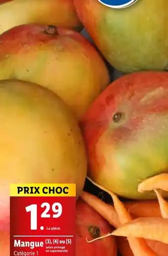 Mangue Catégorie 1