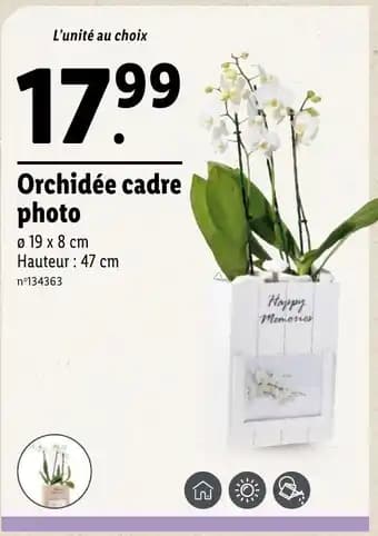 Orchidée cadre photo