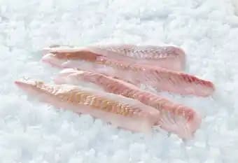 Dos de lieu noir MSC