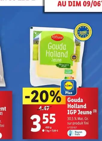 Gouda Holland IGP Jeune (3)