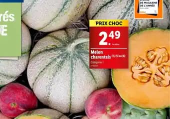 Melon charentais