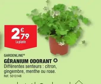 GÉRANIUM ODORANT