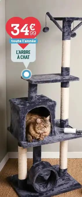 L'ARBRE À CHAT
