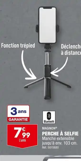 MAGINON PERCHE À SELFIE