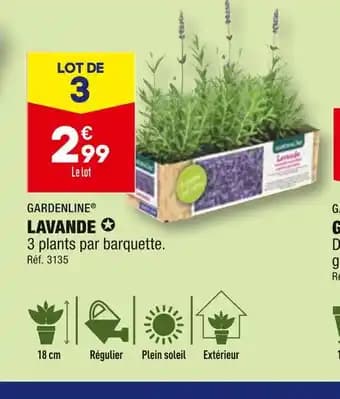 GARDENLINE LAVANDE