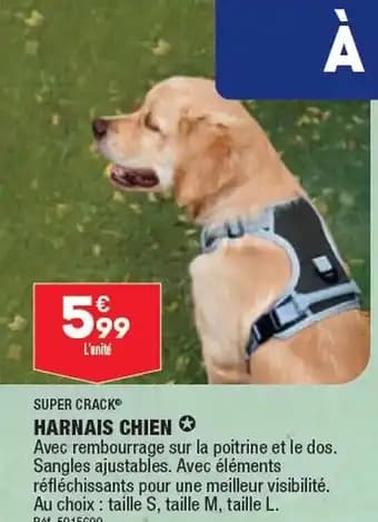 HARNAIS CHIEN ✪