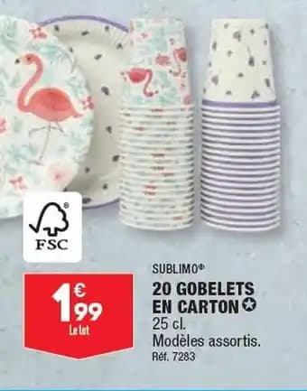20 GOBELETS EN CARTON