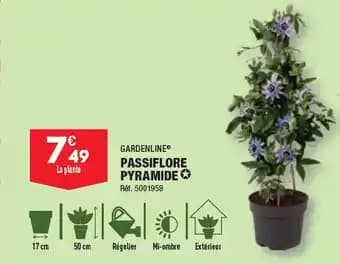 PASSIFLORE PYRAMIDE ✪