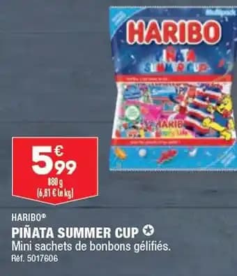 PIÑATA SUMMER CUP ✪