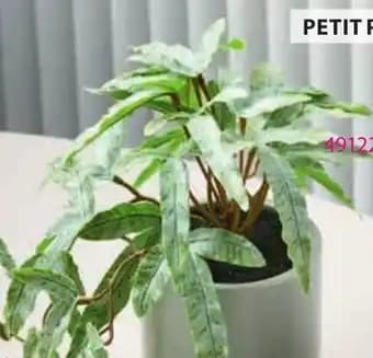 PLANTE ARTIFICIELLE OLSEN
