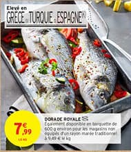 DORADE ROYALE