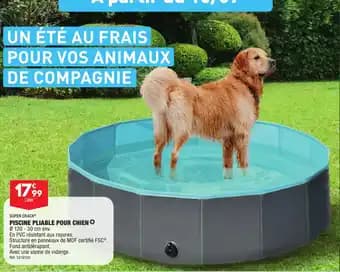 PISCINE PLIABLE POUR CHIEN