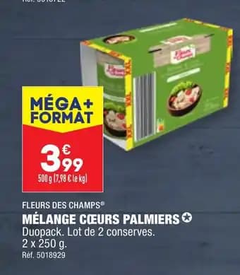 MÉLANGE COŒURS PALMIERS
