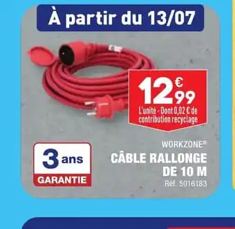 CÂBLE RALLONGE DE 10 M