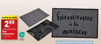 Tapis antipoussière