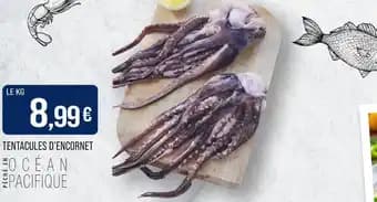 Tentacules d'encornet