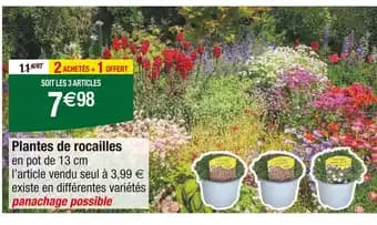 Plantes de rocailles