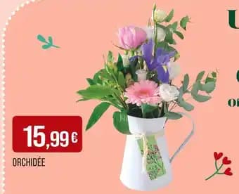 Orchidée