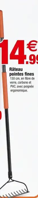 Râteau pointes fines