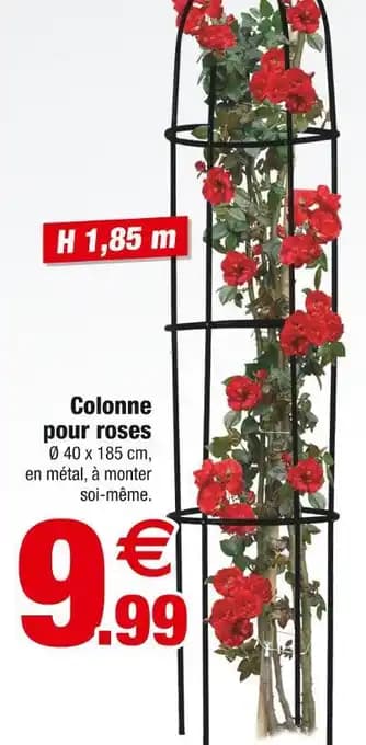 Colonne pour roses