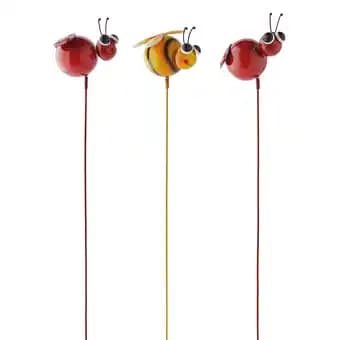 Piques Gros insectes