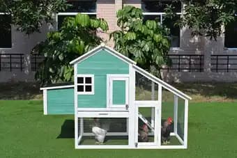 Poulailler Jeannette