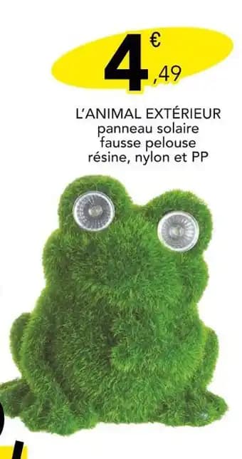 L’animal extérieur